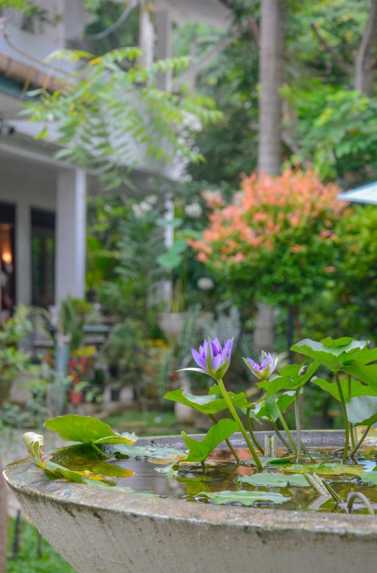 גאלה Palm Garden Guest House מראה חיצוני תמונה