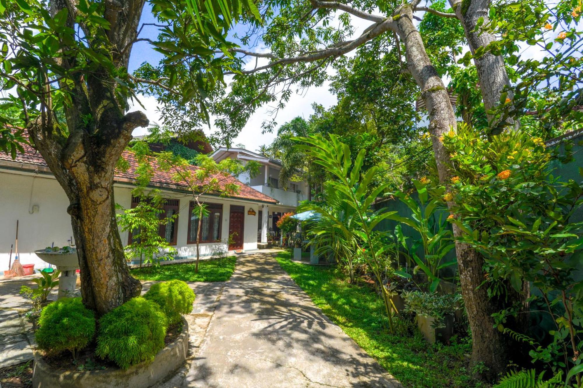 גאלה Palm Garden Guest House מראה חיצוני תמונה